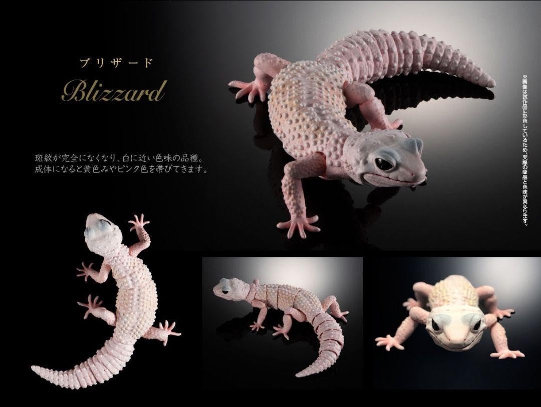 ヒョウモントカゲモドキ（ブリザード） ヤモリ大全 Amazon.co.jp: ヤモリ大全3 ヒョウモントカゲモドキ ブリザード
